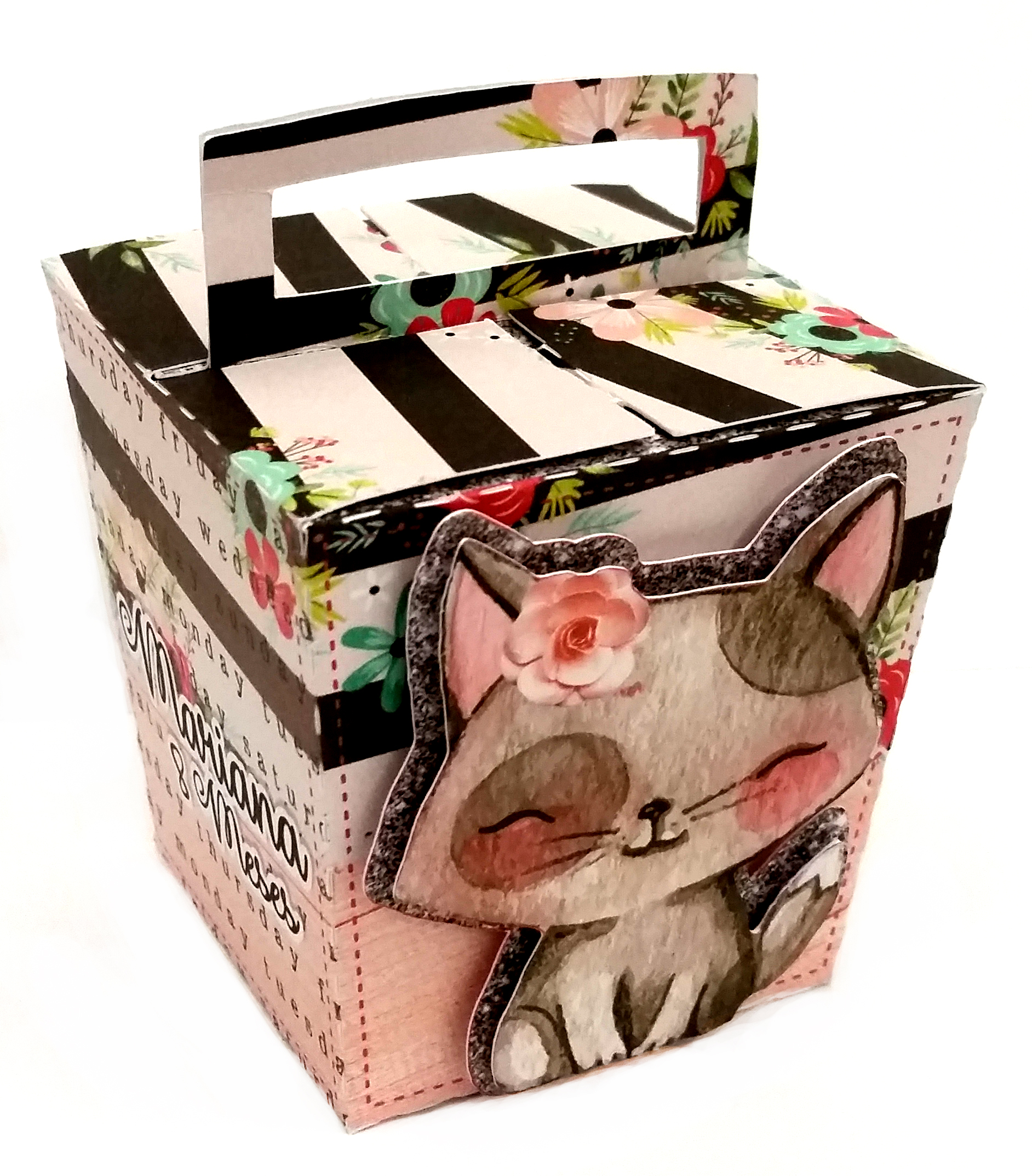 Kit Gatinhos
